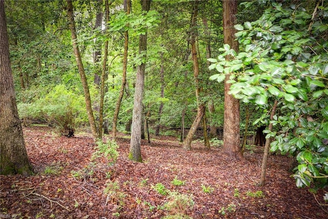 140 Hearthside Ln, Williamsburg, VA 23185 - view of wooded area