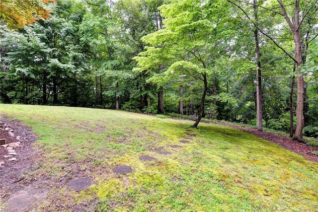 140 Hearthside Ln, Williamsburg, VA 23185 - view of green lawn featuring a wooded view