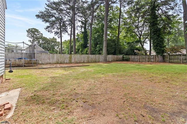 6615 Cabot Ave, Norfolk, VA 23502 - view of yard with a trampoline