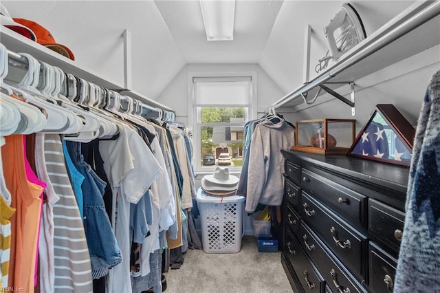 6615 Cabot Ave, Norfolk, VA 23502 - spacious closet featuring vaulted ceiling and light carpet