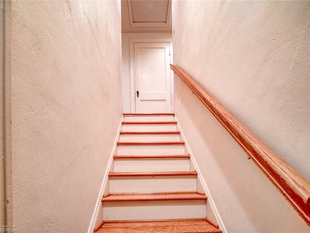 203 Sinclair St, Norfolk, VA 23505 - stairway with wood finished floors