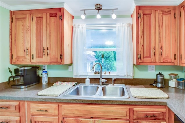 9206 Dixon Rd, Suffolk, VA 23433 - kitchen featuring a sink, ornamental molding, and dark countertops
