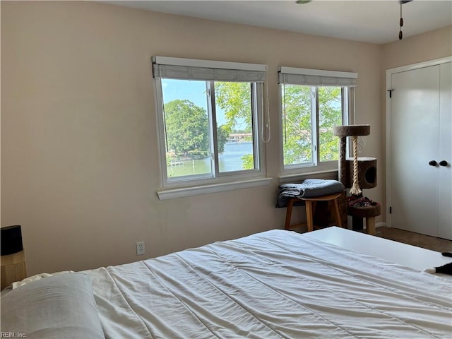 232 Mill Point Dr, Hampton, VA 23669 - bedroom featuring multiple windows and a closet