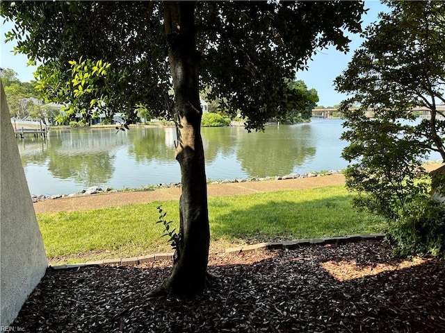 232 Mill Point Dr, Hampton, VA 23669 - water view