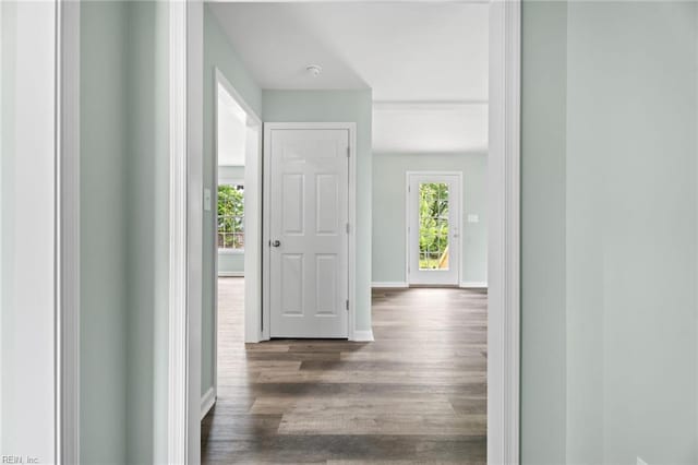 2915 Berkley Ave, Chesapeake, VA 23325 - hallway with wood finished floors and baseboards