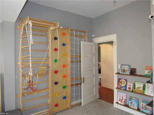 21139 Reynolds Dr, Carrollton, VA 23314 - rec room featuring carpet and arched walkways