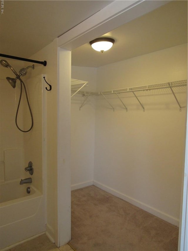 21139 Reynolds Dr, Carrollton, VA 23314 - spacious closet with light carpet