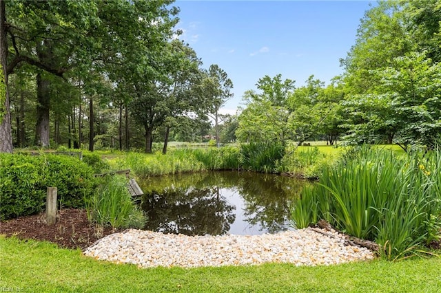 5409 Challedon Dr, Virginia Beach, VA 23462 - water view