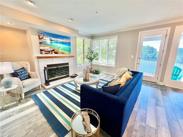 30 Brough Ln # 301, Hampton, VA 23669 - living room with wood-type flooring, crown molding, a fireplace, plenty of natural light, and baseboards