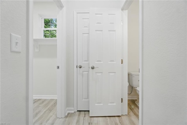 1245 Maltby Ave, Norfolk, VA 23504 - corridor with light wood finished floors and a textured wall