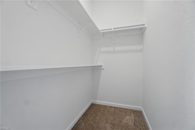 1245 Maltby Ave, Norfolk, VA 23504 - spacious closet featuring carpet floors