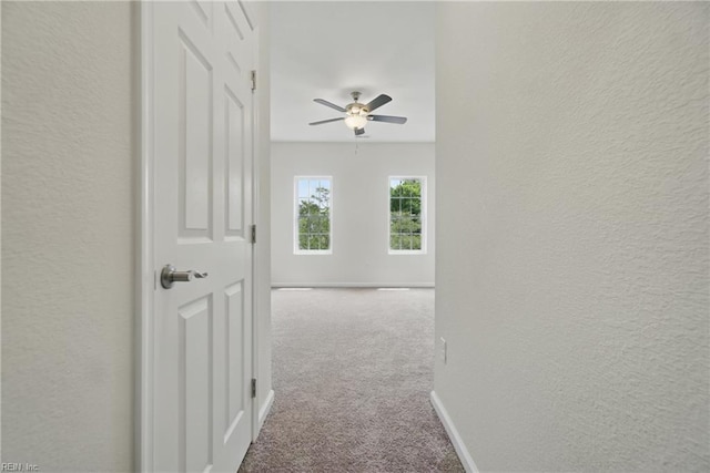 1245 Maltby Ave, Norfolk, VA 23504 - hall with a textured wall, carpet flooring, and baseboards