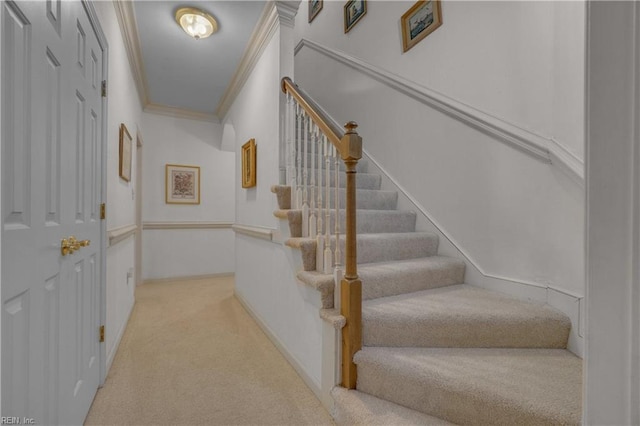 136 Wynnwood Dr, Franklin, VA 23851 - stairway featuring carpet floors and ornamental molding