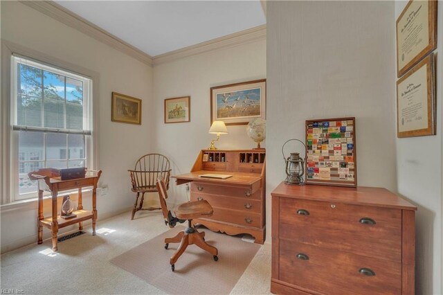 136 Wynnwood Dr, Franklin, VA 23851 - carpeted office space featuring crown molding