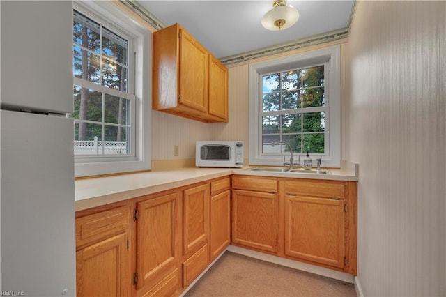 136 Wynnwood Dr, Franklin, VA 23851 - kitchen featuring white appliances, a sink, plenty of natural light, and light countertops