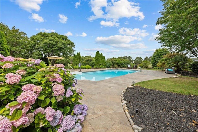 201 Royal Dornoch, Smithfield, VA 23430 - outdoor pool featuring a patio area