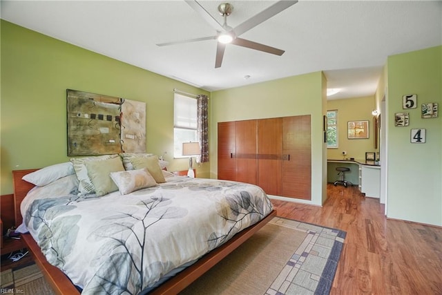 6076 Newport Pt, Norfolk, VA 23505 - bedroom featuring multiple windows, wood finished floors, a desk, and a ceiling fan
