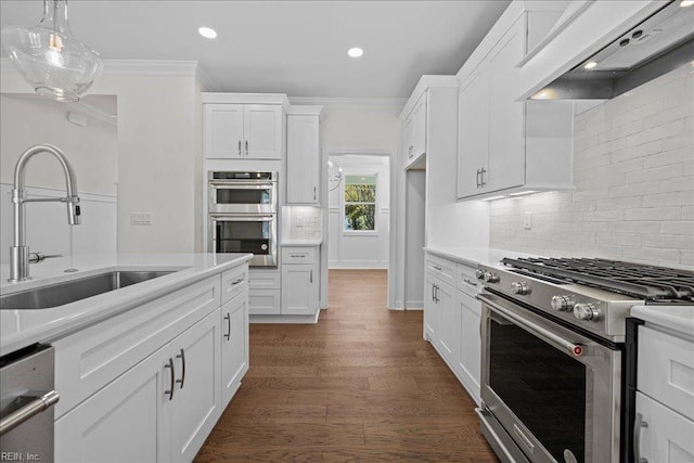 206 84th St Unit A, Virginia Beach, VA 23451 - kitchen featuring appliances with stainless steel finishes, a sink, extractor fan, ornamental molding, and white cabinets
