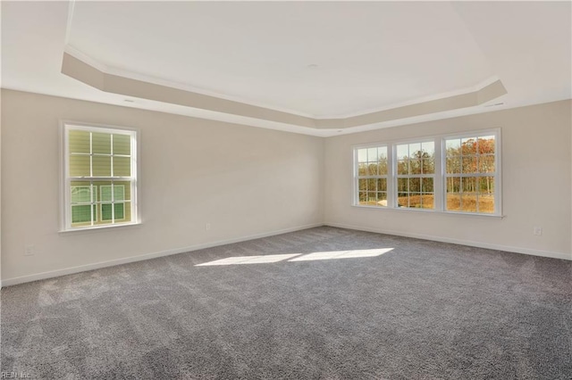 2221 Patrick Dr, Suffolk, VA 23435 - carpeted empty room with a tray ceiling and baseboards