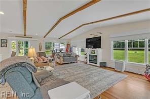 96 Doctors Creek Rd, New Point, VA 23125 - living room with wood finished floors and a fireplace