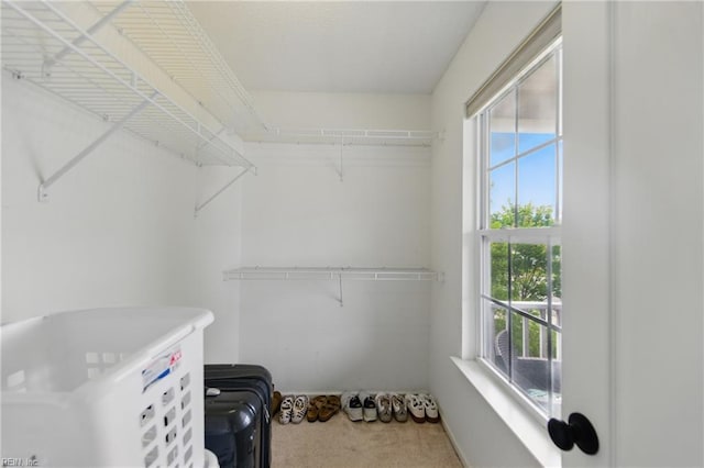 3507 Sedgefield St, Suffolk, VA 23435 - spacious closet with carpet