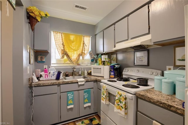 2117 King James Ct, Carrollton, VA 23314 - kitchen with white appliances, a sink, under cabinet range hood, and light countertops