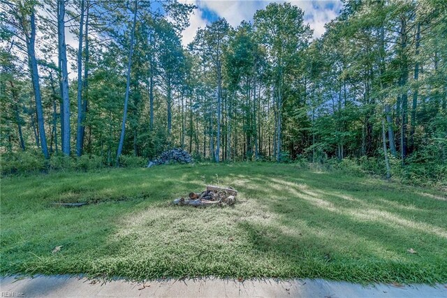 554 Trotman Rd, Camden, NC 27921 - view of yard