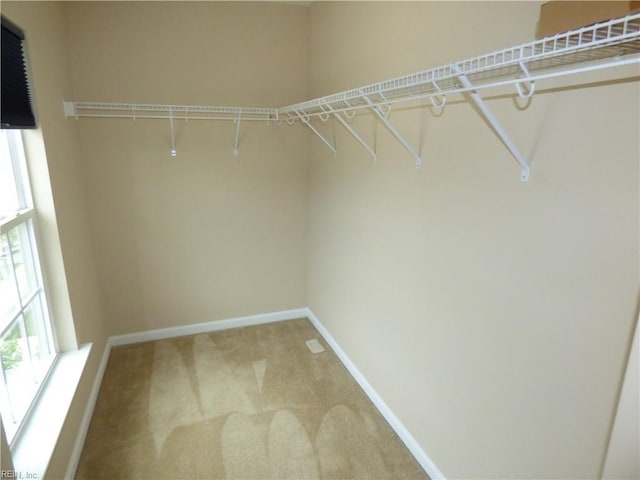 521 Simpson Ln, Chesapeake, VA 23323 - spacious closet with light colored carpet