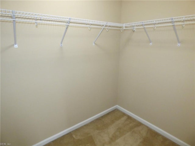 521 Simpson Ln, Chesapeake, VA 23323 - walk in closet with light carpet