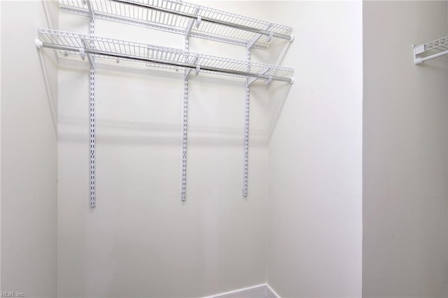 225 Quarterpath Rd, Williamsburg, VA 23185 - view of walk in closet