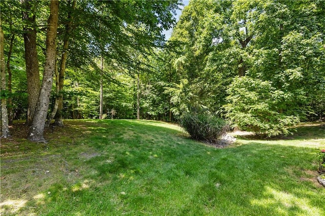 122 Merchant Man Ct, Williamsburg, VA 23185 - view of green lawn with a wooded view