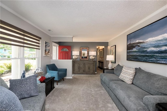 2617 Killey Ct, Virginia Beach, VA 23453 - carpeted living room with ornamental molding and a textured ceiling