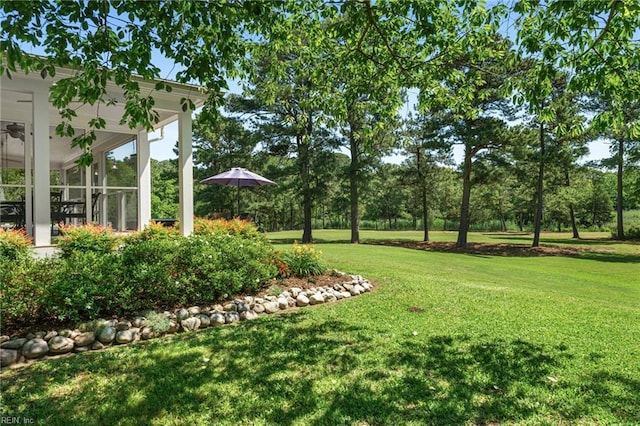3321 Tyre Neck Rd, Chesapeake, VA 23321 - view of grassy yard