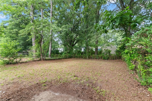 436 Smiley Rd, Hampton, VA 23663 - view of yard