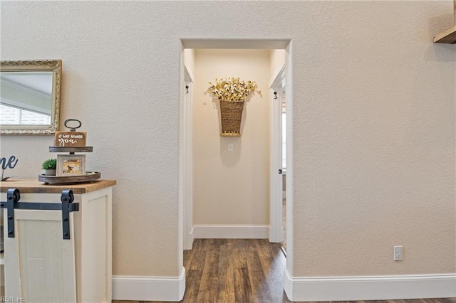 115 Cooks Landing Rd, Camden, NC 27921 - hallway featuring dark wood finished floors and baseboards