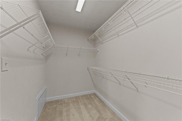 3353 Star Creek Ct, Suffolk, VA 23435 - spacious closet with light colored carpet
