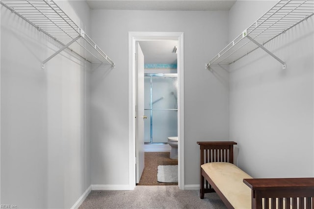 1107 Ocean Pebbles Way, Virginia Beach, VA 23451 - spacious closet featuring carpet