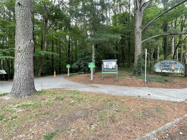 1107 Ocean Pebbles Way, Virginia Beach, VA 23451 - view of property's community