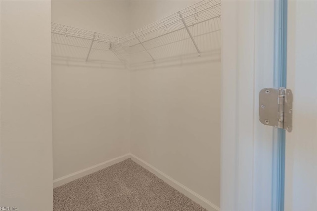2807 Eustis Ave, Chesapeake, VA 23325 - walk in closet with carpet floors