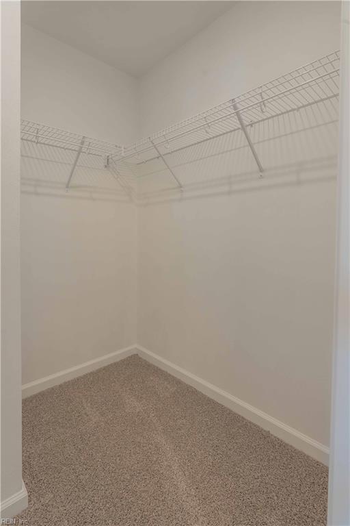 2807 Eustis Ave, Chesapeake, VA 23325 - spacious closet featuring carpet floors