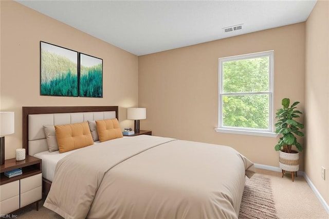 520 Kemp Lndg, Suffolk, VA 23434 - bedroom with carpet flooring and baseboards