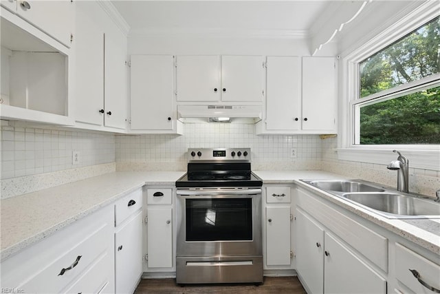 404 Forest Hill Cres, Suffolk, VA 23434 - kitchen featuring ventilation hood, electric stove, a sink, crown molding, and white cabinets