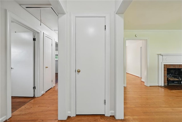 404 Forest Hill Cres, Suffolk, VA 23434 - hallway featuring light wood-type flooring and attic access