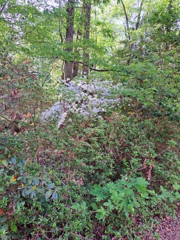 9917 Friendship Rd, North, VA 23128 - view of woods