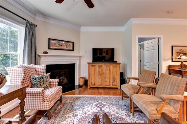 4108 Windmill Rd, Williamsburg, VA 23188 - living room featuring ornamental molding, ceiling fan, light wood finished floors, and a fireplace with flush hearth