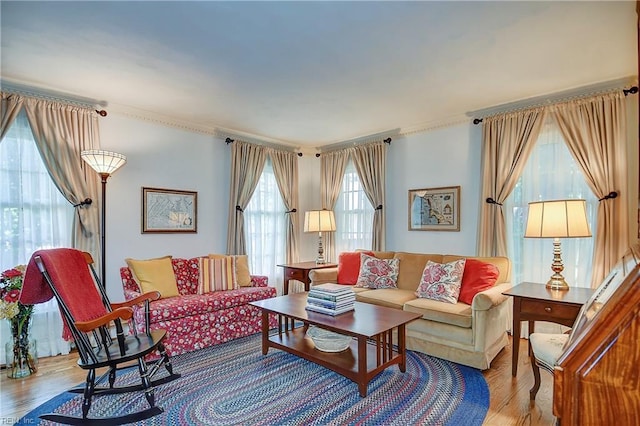 1204 Merrifield Lndg, Virginia Beach, VA 23464 - living room featuring wood finished floors and ornamental molding