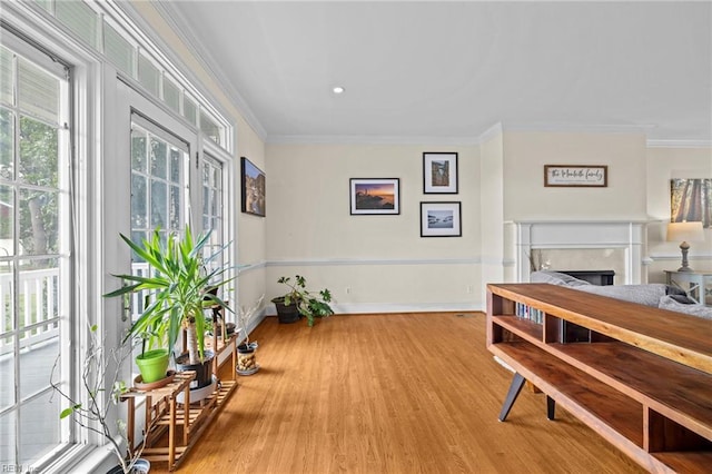200 Congress Ave, Hampton, VA 23669 - sitting room with crown molding, a fireplace, wood finished floors, and baseboards