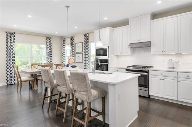 1513 Bogue St, Chesapeake, VA 23322 - kitchen with stainless steel appliances, under cabinet range hood, a sink, tasteful backsplash, and dark wood-style flooring