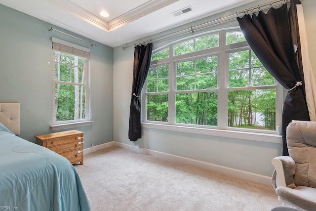 4437 Cherokee Dr, Suffolk, VA 23434 - bedroom with carpet flooring, baseboards, crown molding, and a tray ceiling