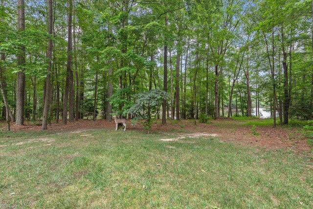 4437 Cherokee Dr, Suffolk, VA 23434 - view of yard featuring a view of trees